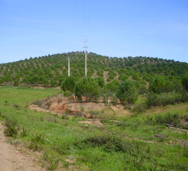 Land For Sale in Silves Portugal
