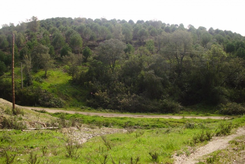 Land For Sale in Silves Portugal