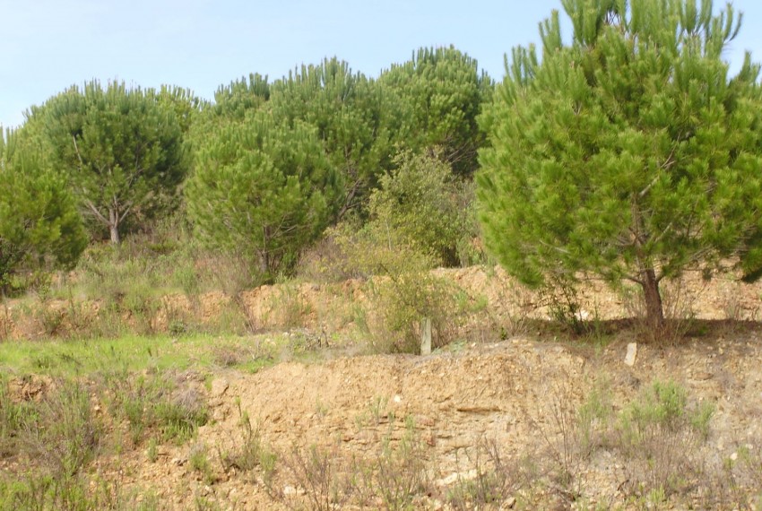 Land For Sale in Silves Portugal