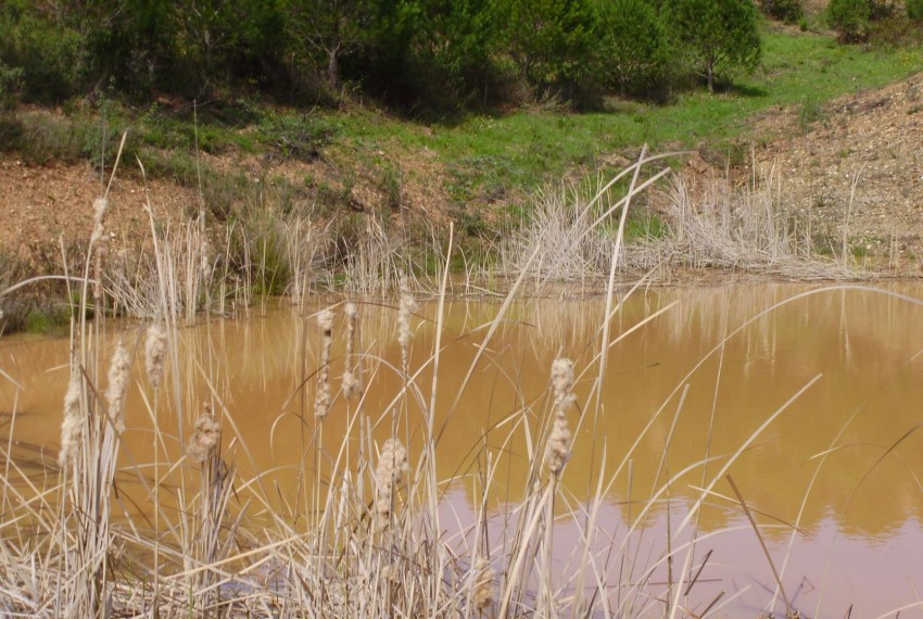 Land For Sale in Silves Portugal