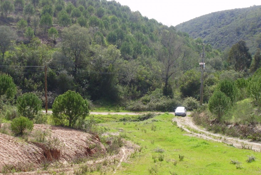 Land For Sale in Silves Portugal