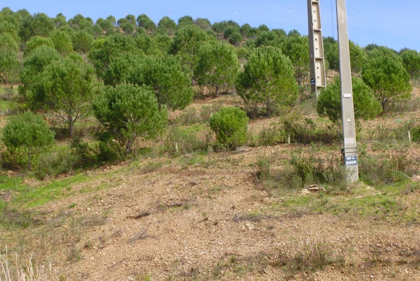Land For Sale in Silves Portugal