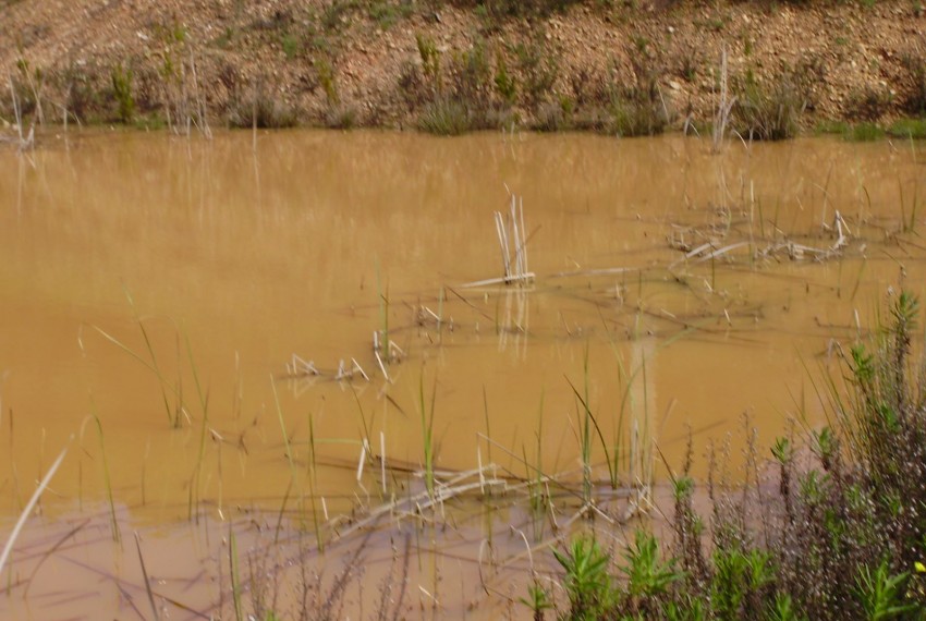 Land For Sale in Silves Portugal
