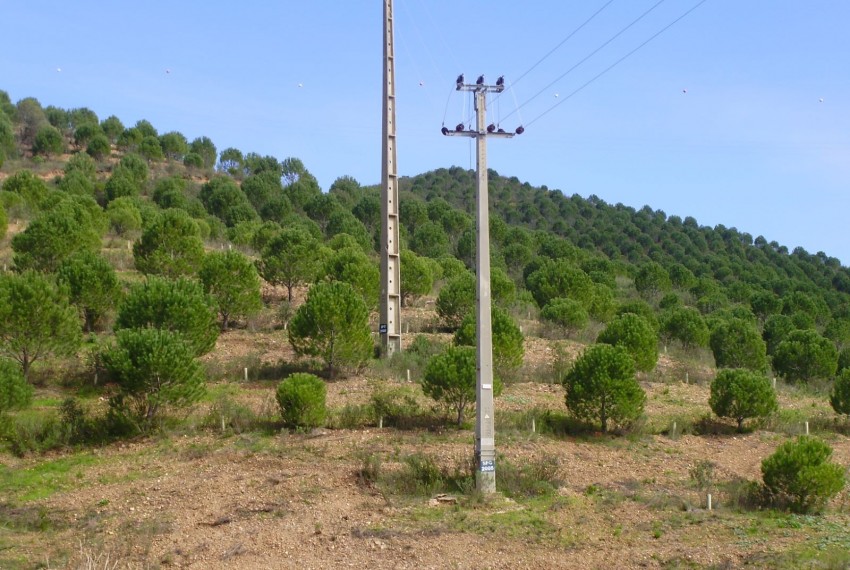 Land For Sale in Silves Portugal