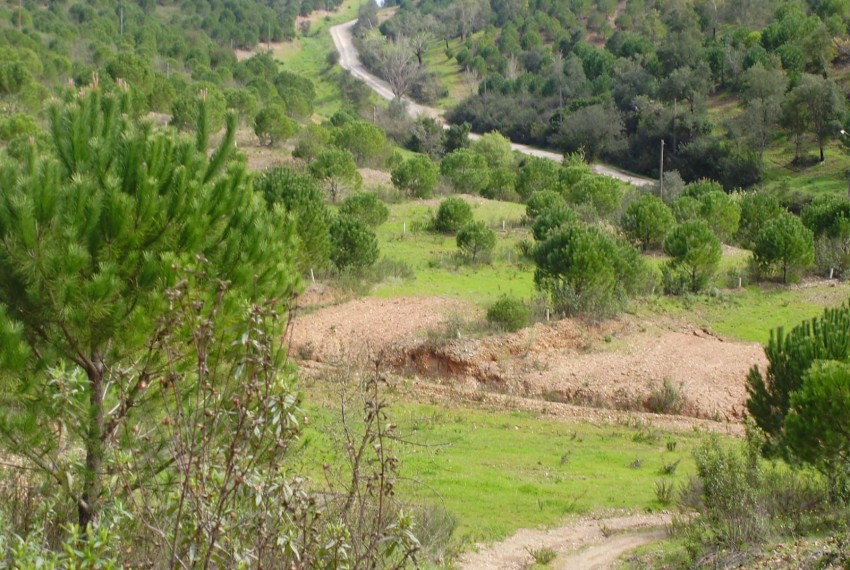 Land For Sale in Silves Portugal