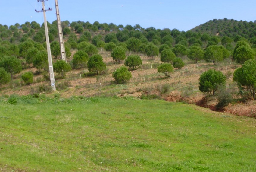 Land For Sale in Silves Portugal