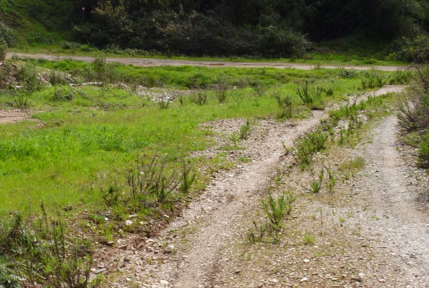 Land For Sale in Silves Portugal