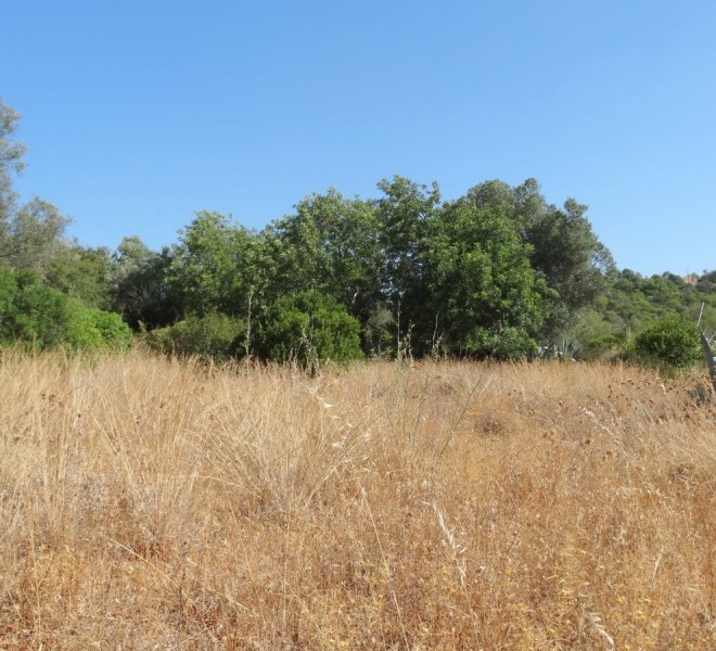 Land For Sale in Loule Portugal