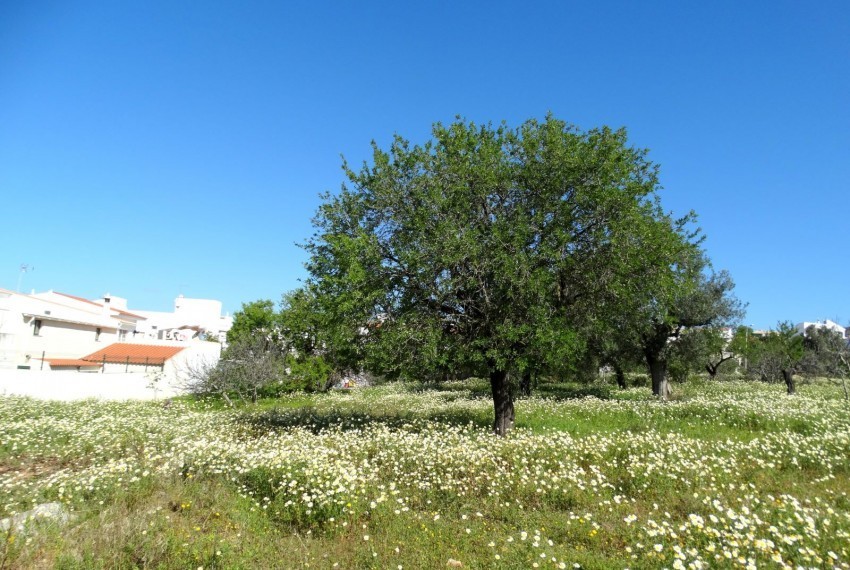 Land For Sale In Faro Portugal