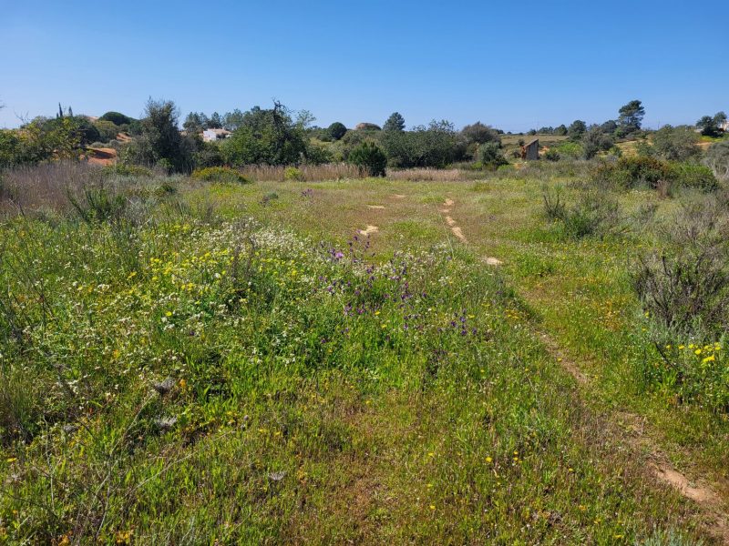 Land For Sale in Porches PortugalOcean Key Property Algarve