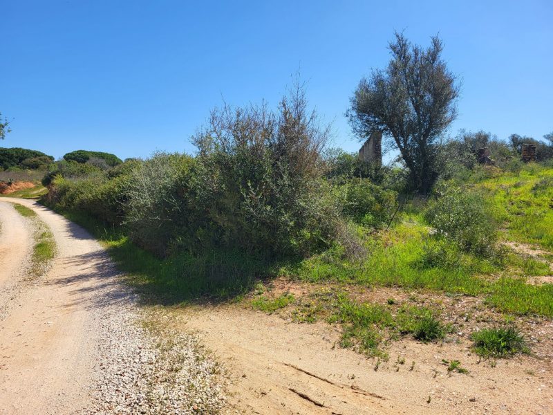 Land For Sale in Porches PortugalOcean Key Property Algarve