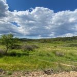 Land For Sale in Silves Portugal
