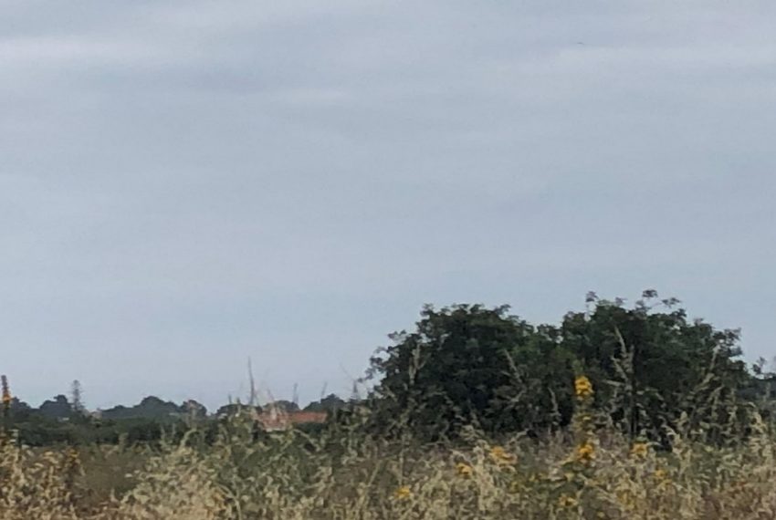 Agricultural Land For Sale in Silves Portugal