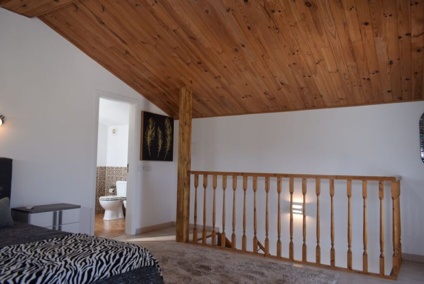 Wooden Ceilings