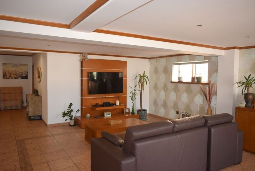 Downstairs Living room view