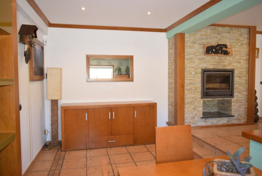 Living fire place