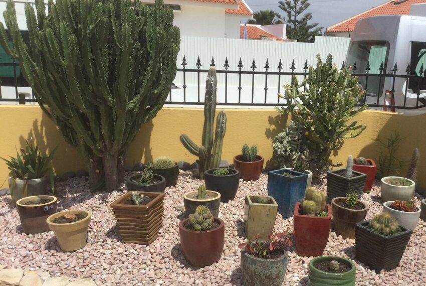 beautiful-gardens